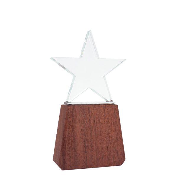 Trofeo de Madera y Cristal "Lonely Star" - Imagen 4