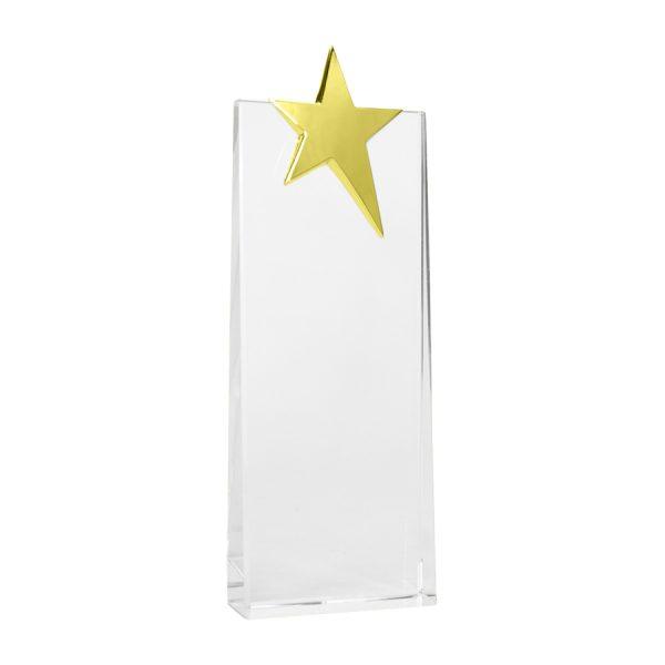 Trofeo Galvano de Cristal "Ledecky" - Imagen 3
