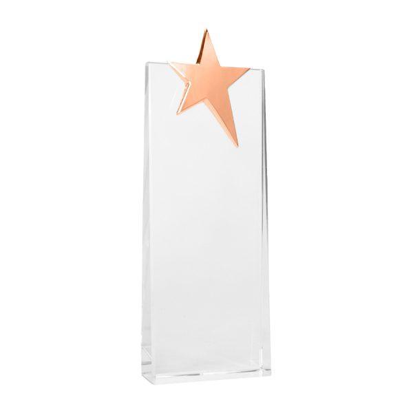 Trofeo Galvano de Cristal "Ledecky" - Imagen 6