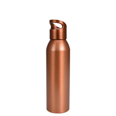 Botella metálica “AGLU” 650cc